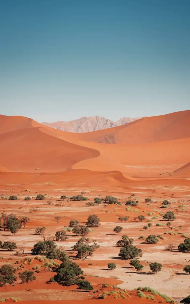 Red dunes at Sossusvlei