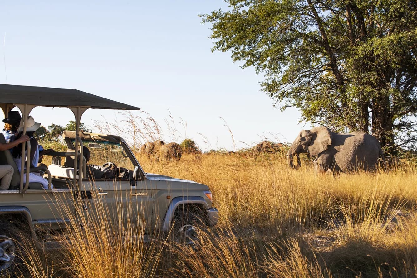 Elefant vor dem Safarifahrzeug im Caprivi
