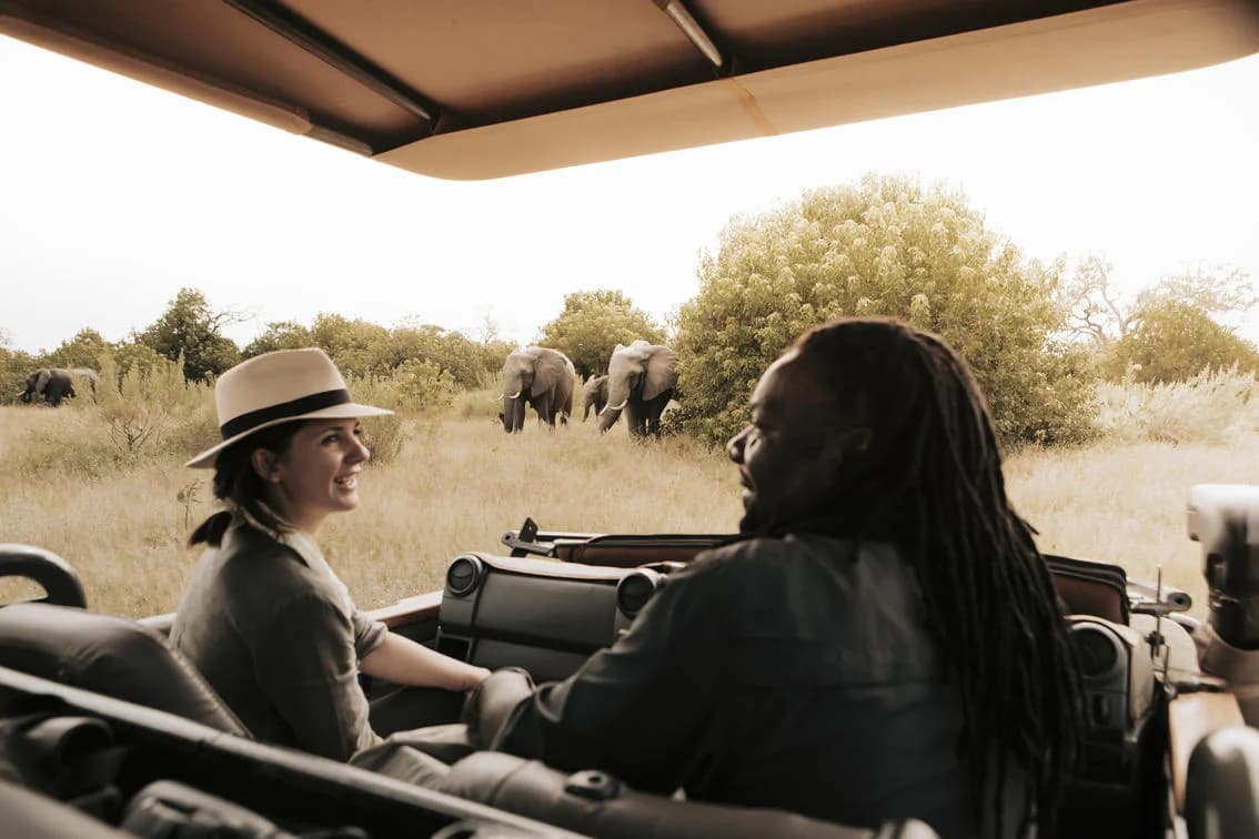 Gäste im Safarifahrzeug beobachten Elefanten bei Vumbura Plains